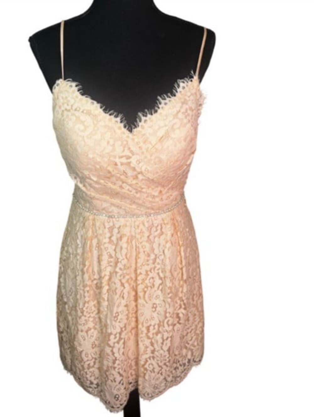 Christina Wu Eyelash Lace Blush Pink Cocktail Mini Dress Sz 8 Pearls Rhinestone